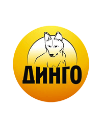 Благотворительный фонд помощи животным «Динго»