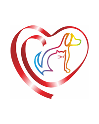 Благотворительный фонд «Доброе сердце» — помощь бездомным животным